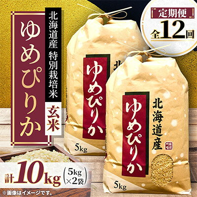 【毎月定期便】特別栽培米 北海道産 ゆめぴりか10kg(5kg×2袋) 玄米 特A 全12回【4093884】