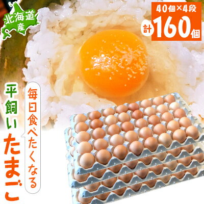 8位! 口コミ数「0件」評価「0」【北海道産】毎日食べたくなる平飼いたまご160個【配送不可地域：離島】【1215863】