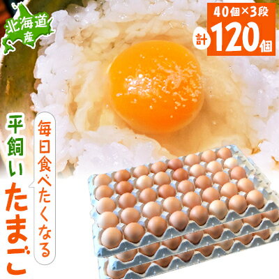 【ふるさと納税】【北海道産】毎日食べたくなる平飼いたまご120個【配送不可地域：離島】【1215862】