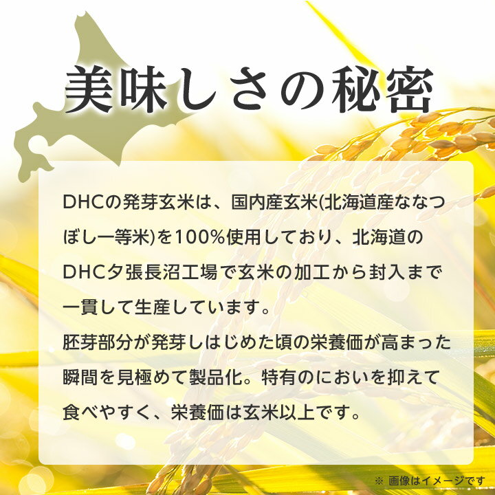 【ふるさと納税】 DHC 発芽玄米 4kg ( 1kg × 4セット ) 玄米 米 健康 お米 食物繊維 栄養 ギャバ 【1369850】