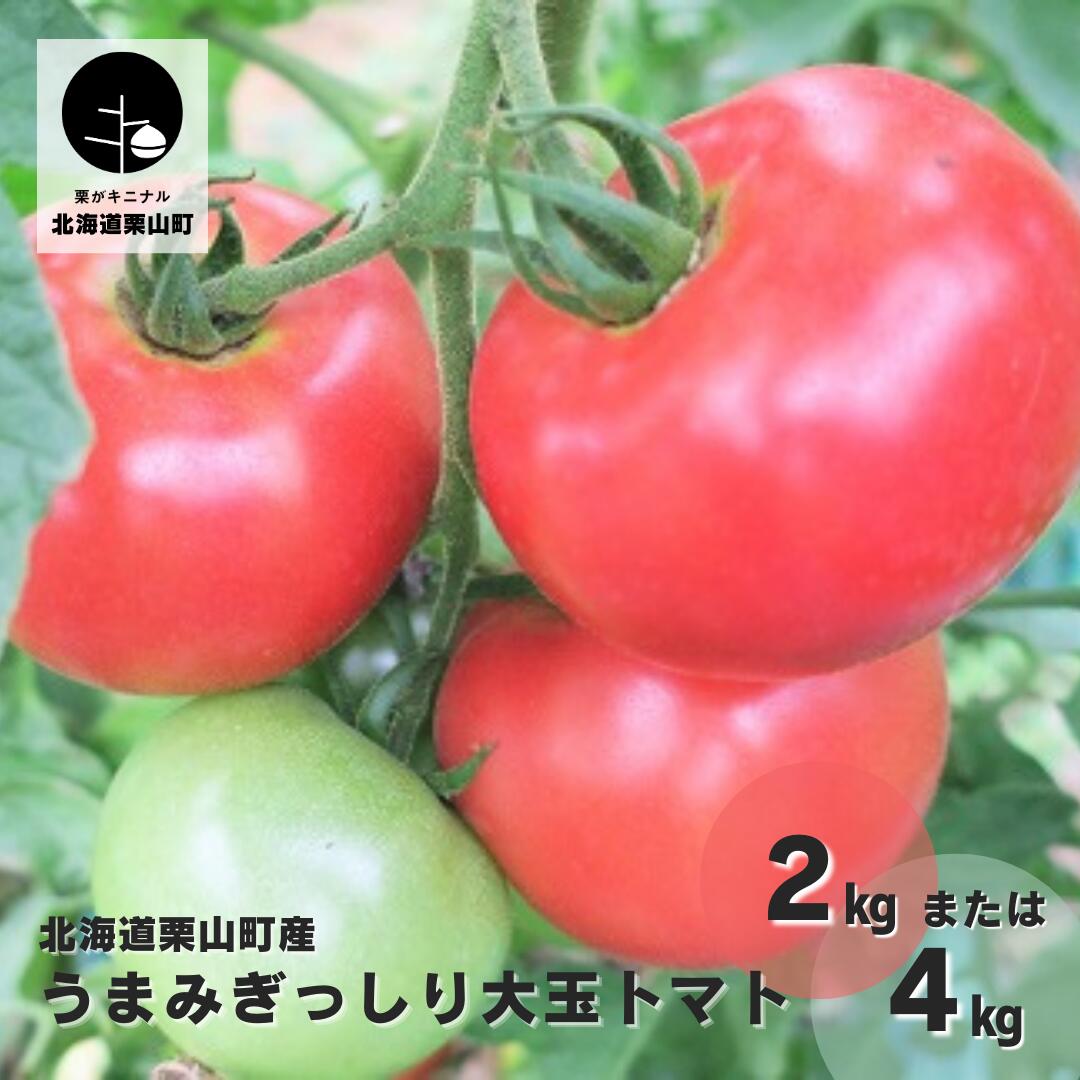 2位! 口コミ数「0件」評価「0」北海道栗山町産　うまみぎっしり大玉トマト《2kg・4kg》