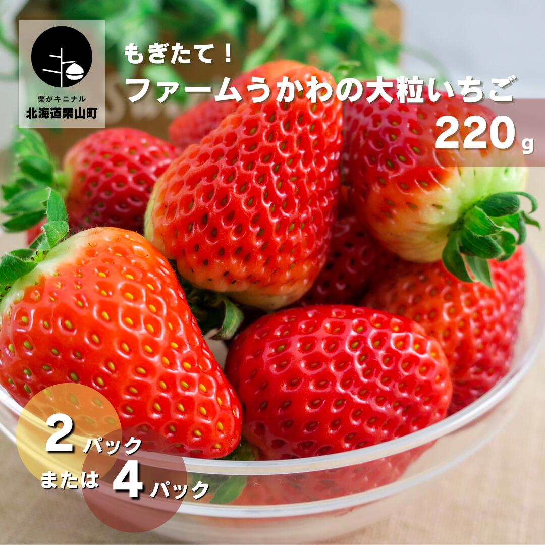 7位! 口コミ数「0件」評価「0」もぎたて！北海道産ファームうかわの大粒いちご《2パック・4パック》