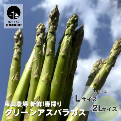 新鮮！春採り 北海道産 グリーンアスパラガス 1kg《Lサイズ・2Lサイズ》