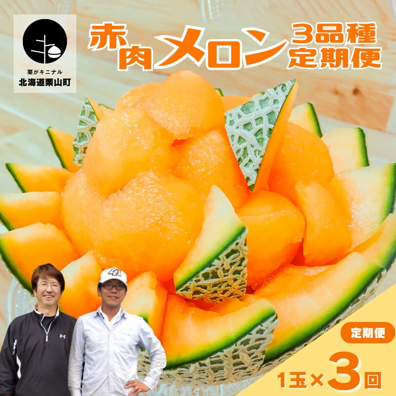 【ふるさと納税】【先