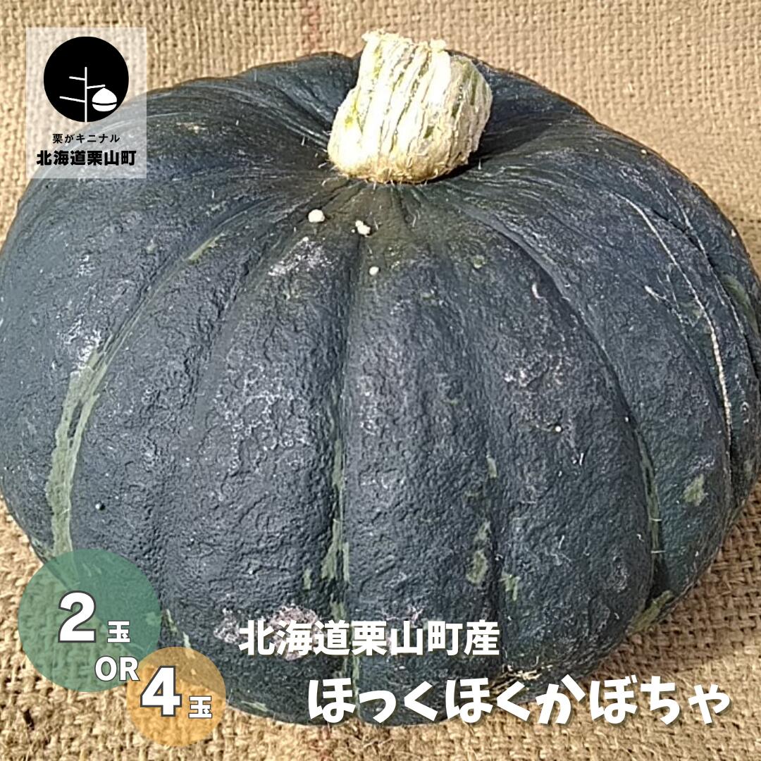 北海道栗山町の大きな空と大地でのびのび育った、ほっくほくで味の濃いかぼちゃです。 緑皮と白皮の二種類があり、白皮は比較的日持ちします。 かぼちゃは収穫後、時間が経つほどに甘みが増し、果肉がしっとりしてきます。 すぐ食べれば「ほっくほく」、しばらくおけば「しっとり」、食べる時期によって異なる表情をみせてくれます。 毎年試行錯誤しながら栽培しているかぼちゃ。北海道の秋の味覚を是非お楽しみください。 ※発送種類について※ 基本的には緑皮と白皮をそれぞれを入れる予定でおりますが、 収穫状況により変更になる可能性がございます。 気象条件等の影響より重量は変動する場合があります。 ※発送時期について※ 生育状況等により発送時期が前後することがありますのでご了承ください。 ※日時指定について※ 曜日、時間指定はできる限りご希望に沿えるよう努力いたしますが、日付指定は承っておりません。 あらかじめご了承ください。 返礼品説明 名称 北海道栗山町産 ほっくほくかぼちゃ 産地名 北海道栗山町 内容量 ・かぼちゃ　2玉（1玉1.5kg程度） ・かぼちゃ　4玉（1玉1.5kg程度） ★ご希望の玉数をお選びください★ ※基本的には緑皮と白皮をそれぞれを入れる予定でおりますが、収穫状況により変更になる可能性がございます。 ※気象条件等の影響により重量は変動することがあります。 消費期限 カット後は冷蔵庫保管でお早めにお召し上がりください 発送期日 9月中旬〜10月下旬 ※生育状況等により発送時期が前後することがありますので予めご了承ください。 事業者名 池田農林 ・ふるさと納税よくある質問はこちら ・寄付申込みのキャンセル、返礼品の変更・返品はできません。あらかじめご了承ください。「ふるさと納税」寄付金は、下記の事業を推進する資金として活用してまいります。 寄付を希望される皆さまの想いでお選びください。 (1) 人々が輝くふるさとづくり〜教育に関する事業〜 (2) 健幸に暮らせるふるさとづくり〜医療・保健・福祉に関する事業〜 (3) 賑わいと活力あるふるさとづくり〜産業に関する事業〜 (4) 快適でやすらぐふるさとづくり〜都市基盤に関する事業〜 (5) 安心して暮らせるふるさとづくり〜生活環境に関する事業〜 (6) みんなが主役のふるさとづくり〜地域経営に関する事業〜 (7) 指定なし 入金確認後、注文内容確認画面の【注文者情報】に記載の住所にお送りいたします。 発送の時期は、寄付確認後一週間前後を目途に、お礼の特産品とは別にお送りいたします。