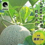 【ふるさと納税】北海道栗山町産 幻のメロン《1玉・2玉・大箱 4～6玉（計8kg程度）》