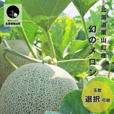 楽天ふるさと納税　【ふるさと納税】北海道栗山町産 幻のメロン《1玉・2玉・大箱 4～6玉（計8kg程度）》