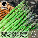 細いサイズながら味は太い物と変わらず甘みがあります。 調理に最適なサイズです。 鮮度が保持されるフィルムに入れてお届けするので鮮度バツグン！ そのまま食べてももちろん、肉巻き等にしてお弁当に入れればお子様も喜ぶこと間違いなし！ 返礼品説明 名称 春一番！JAそらち南の味覚「グリーンアスパラガス」S〜L 1kg前後 産地名 北海道栗山町 内容量 グリーンアスパラガス（S〜L）1kg前後 ★規格★ Sサイズ　8g〜14g Mサイズ　15g〜19g Lサイズ　20g〜34g 消費期限 冷蔵庫保管で1週間 ※到着後はなるべくお早めに召し上がり下さい。 発送期日 5月〜6月 ※生育状況等により発送時期が前後することがありますので予めご了承ください。 事業者名 そらち南農業協同組合 ・ふるさと納税よくある質問はこちら ・寄付申込みのキャンセル、返礼品の変更・返品はできません。あらかじめご了承ください。「ふるさと納税」寄付金は、下記の事業を推進する資金として活用してまいります。 寄付を希望される皆さまの想いでお選びください。 (1) 人々が輝くふるさとづくり〜教育に関する事業〜 (2) 健幸に暮らせるふるさとづくり〜医療・保健・福祉に関する事業〜 (3) 賑わいと活力あるふるさとづくり〜産業に関する事業〜 (4) 快適でやすらぐふるさとづくり〜都市基盤に関する事業〜 (5) 安心して暮らせるふるさとづくり〜生活環境に関する事業〜 (6) みんなが主役のふるさとづくり〜地域経営に関する事業〜 (7) 指定なし 入金確認後、注文内容確認画面の【注文者情報】に記載の住所にお送りいたします。 発送の時期は、寄付確認後一週間前後を目途に、お礼の特産品とは別にお送りいたします。