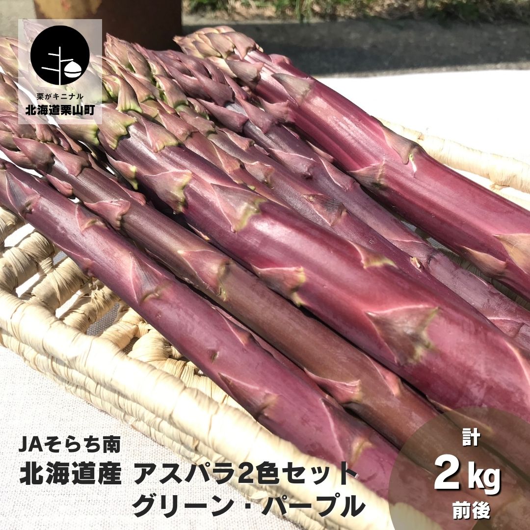 【ふるさと納税】春一番！JAそらち南の味覚「アスパラ2色セット」グリーン・パープル計2kg前後