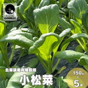 【ふるさと納税】有機栽培 小松菜 150g×5袋 栗山かなまる農園