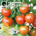 【ふるさと納税】有機栽培 ミニトマト「ほれまる」栗山かなまる農園《1kg・6パック》