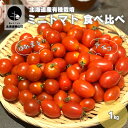 【ふるさと納税】有機栽培 ミニトマト2品種食べ比べ「アイコ」「ほれまる」計1kg 栗山かなまる農園