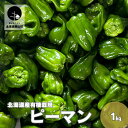 【ふるさと納税】有機栽培 ピーマン 1kg 栗山かなまる農園