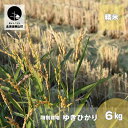 【ふるさと納税】特別栽培米ゆきひかり(精米)6kg