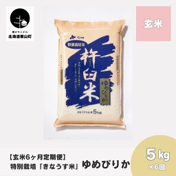 【ふるさと納税】【玄米6ヶ月定期便】特別栽培「きなうす米」ゆめぴりか5kg×6回