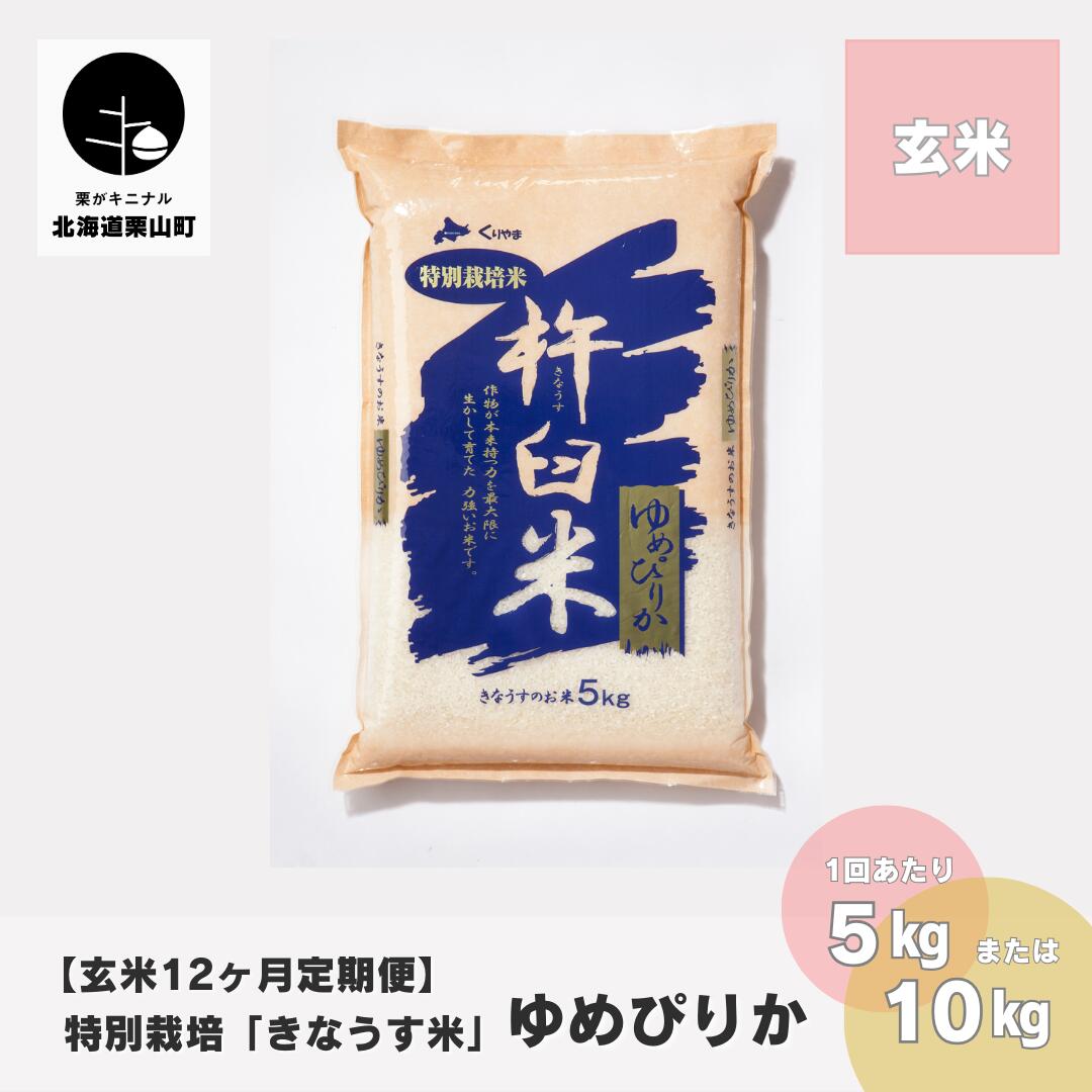 【ふるさと納税】【玄米12ヶ月定期便】特別栽培「きなうす米」
