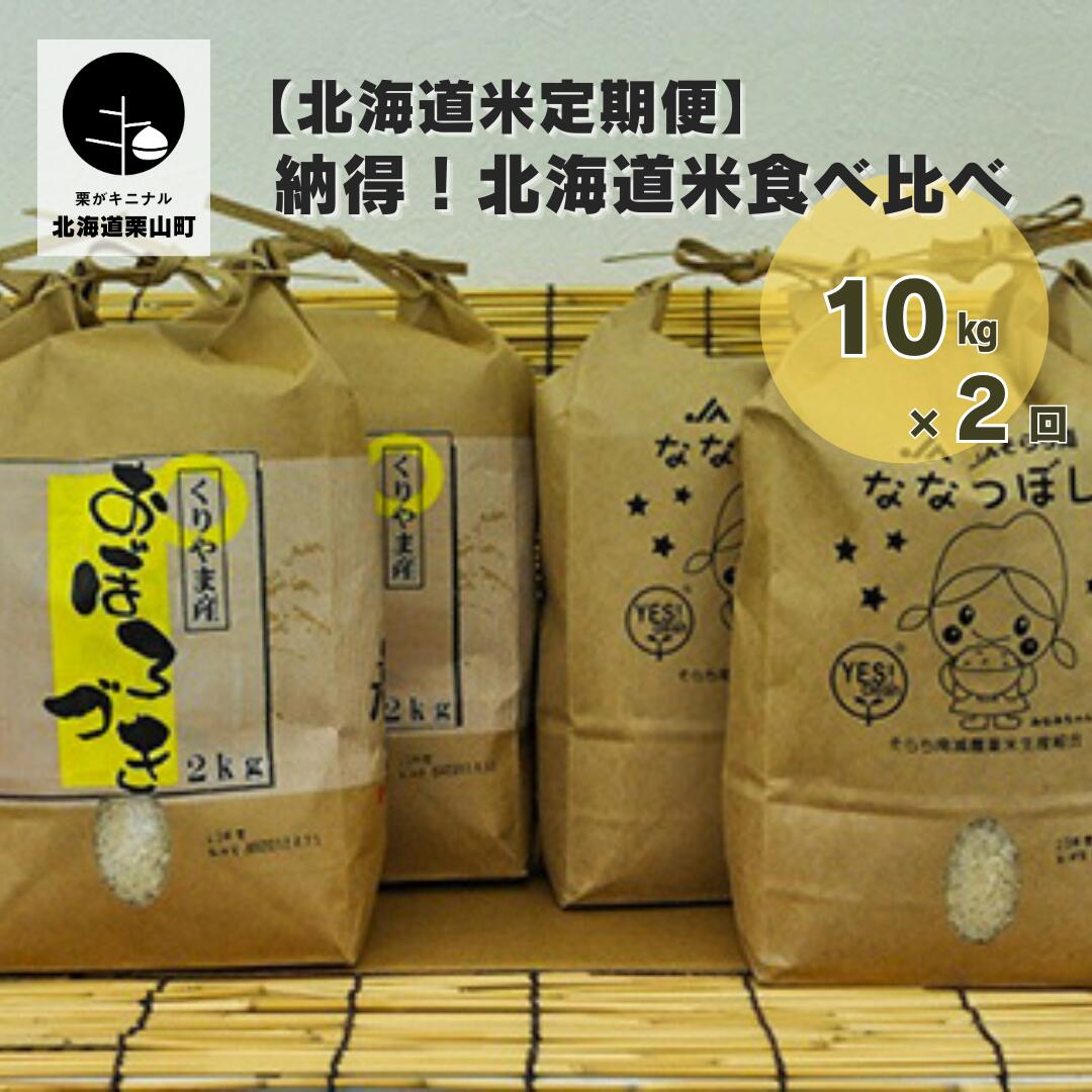 【ふるさと納税】【北海道米定期便】納得！北海道米食べ比べ10kg×2回のサムネイル