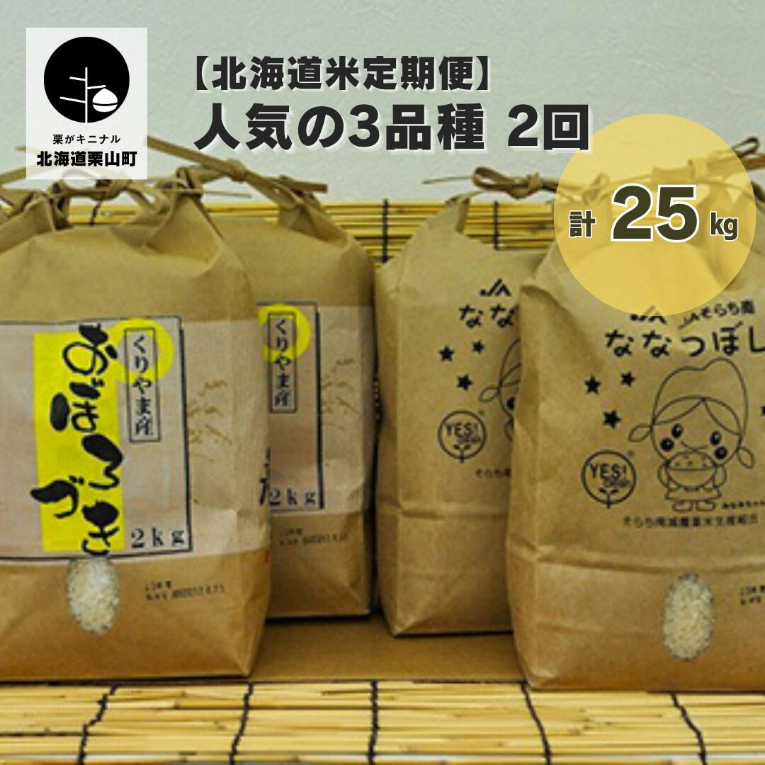 【ふるさと納税】【北海道米定期便】人気の3品種 2回 計25