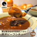 【ふるさと納税】栗山産玉ねぎの甘味たっぷり！贅沢ビーフシチュー