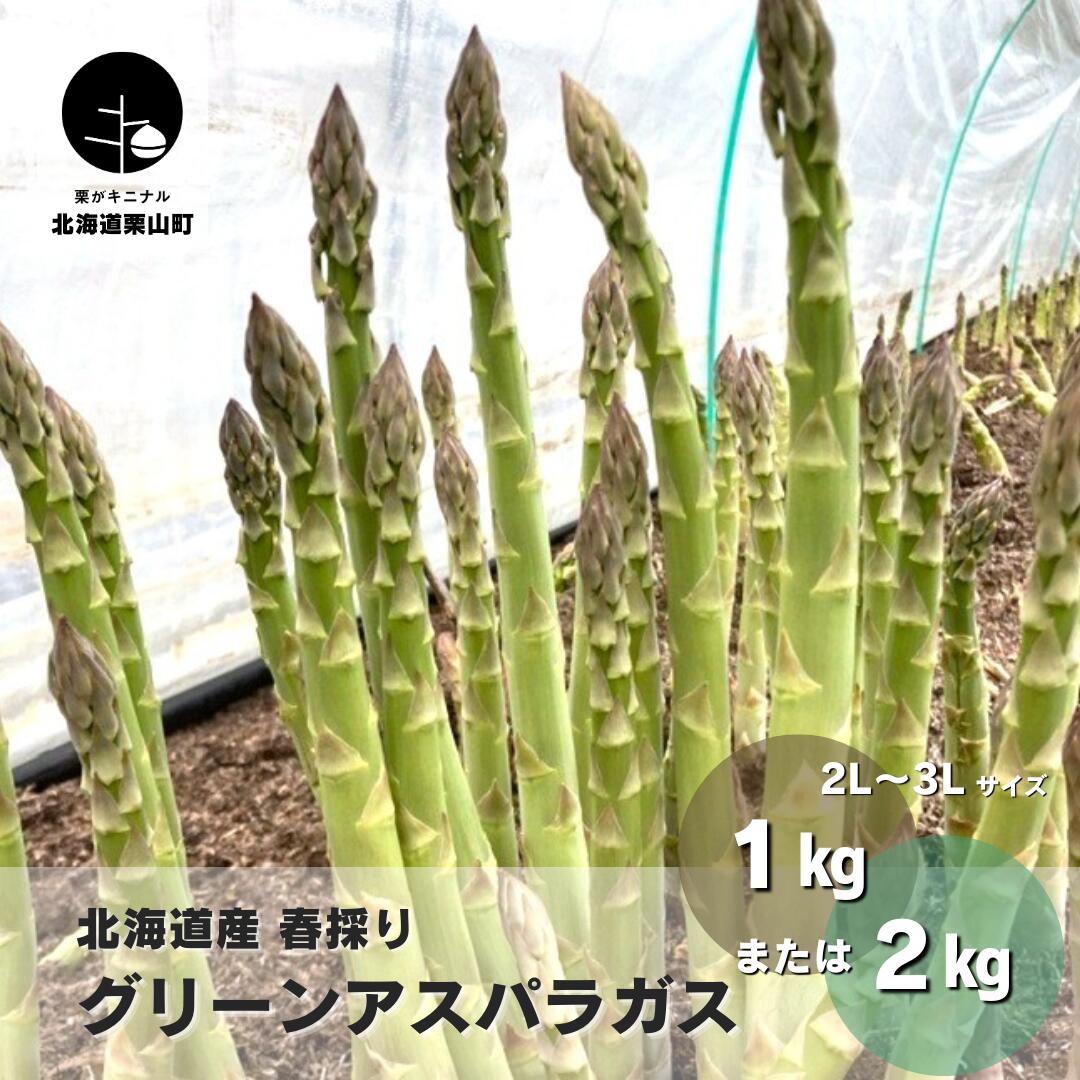 【ふるさと納税】北海道産 春採り グリーン アスパラガス 2L～3Lサイズ おがファーム《1kg・2kg》