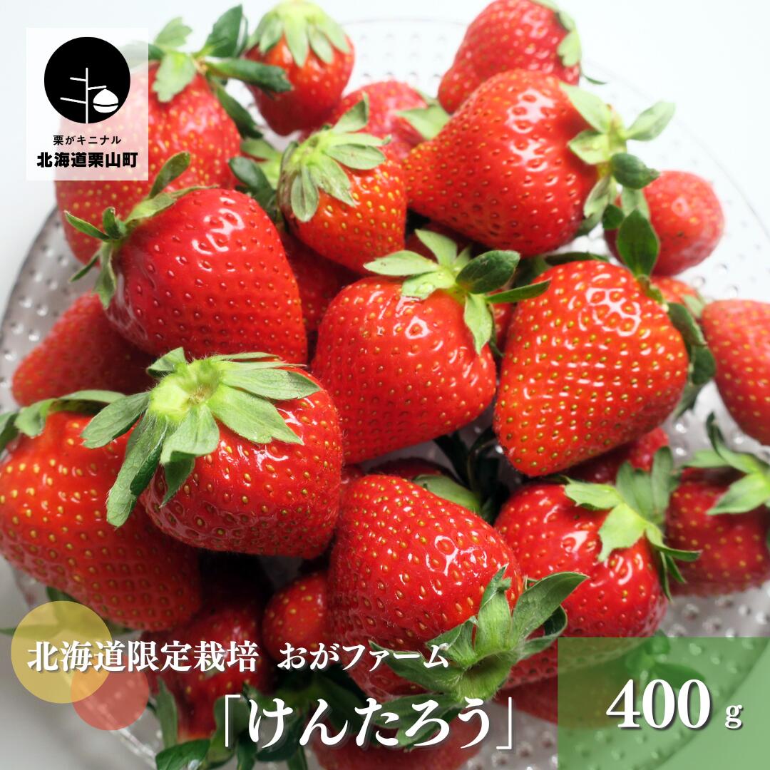 26位! 口コミ数「0件」評価「0」【100組限定】おがファームの道産子大粒いちご「けんたろう」400g