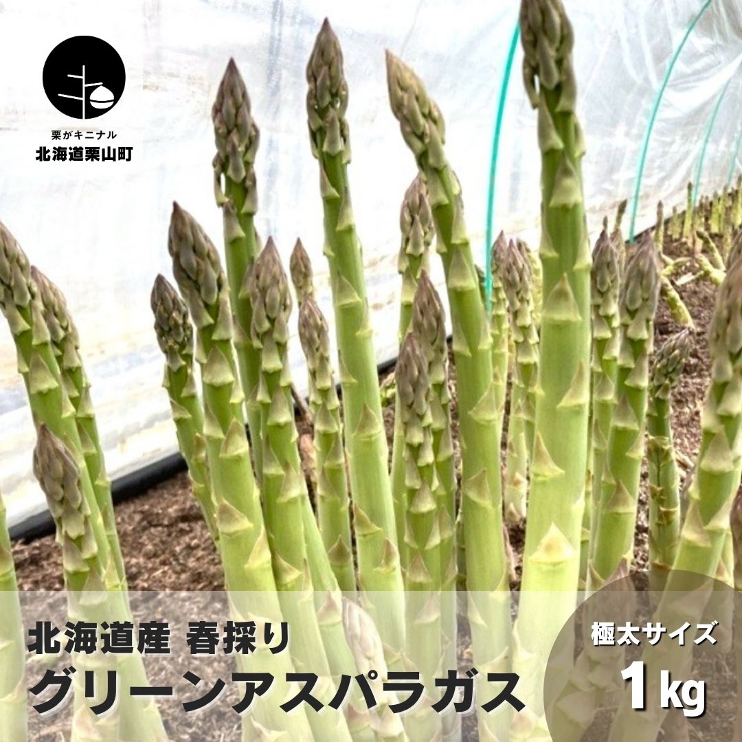 [先行予約]北海道産 春採り 極太グリーンアスパラガス4Lサイズ 1kg おがファーム