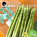 【ふるさと納税】北海道栗山町産 夏のグリーンアスパラ(M~2Lサイズ)1kg オジファーム