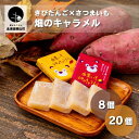 「日本一のきびだんご」で有名な栗山町の谷田製菓株式会社と、栗山町と由仁町の農家たちが生産するさつまいも「由栗いも」がコラボレーション！ 一般的なキャラメルのような乳製品は一切使っていないのですが、由栗いもを練り込んだことで上品にさつまいもが香るキャラメルのような風味に仕上がりました。 日本茶、牛乳、紅茶、コーヒーなどと一緒にどうぞ。 動物性食品不使用であるのにも関わらず「キャラメル」を感じること、またさつまいも生産者がプロデュースしたことから「畑のキャラメル」と名づけています。 2023年9月28日から発売を開始して以来、ねっちりした食感とさつまいも本来の優しい甘さに好評をいただいております。 【「谷田のきびだんご」をご存知ない方へ】 「谷田のきびだんご」は谷田製菓株式会社の商品です。 北海道開拓の精神と関東大震災の復興を願い、起備団合の名称で大正12年創製・発売。 水飴、砂糖、もち米 生餡だけを原材料として作るねちっとした食感の飴菓子は道民のソウルフードと言っても過言ではありません。 原材料に「きび」は入っていませんが北海道民は「きびだんご」と言えばこの「谷田のきびだんご」を連想する人がほとんどです。 返礼品説明 名称 きびだんご×さつまいも【由栗いも使用】畑のキャラメル 産地名 北海道栗山町 内容量 ・畑のキャラメル　30g×8個 ・畑のキャラメル　1箱（30g×20個入り） ★ご希望の個数をお選びください★ 消費期限 30日以上、最大150日 発送期日 決済完了からおおよそ2週間程度 事業者名 合同会社ベジタボ ・ふるさと納税よくある質問はこちら ・寄付申込みのキャンセル、返礼品の変更・返品はできません。あらかじめご了承ください。「ふるさと納税」寄付金は、下記の事業を推進する資金として活用してまいります。 寄付を希望される皆さまの想いでお選びください。 (1) 人々が輝くふるさとづくり〜教育に関する事業〜 (2) 健幸に暮らせるふるさとづくり〜医療・保健・福祉に関する事業〜 (3) 賑わいと活力あるふるさとづくり〜産業に関する事業〜 (4) 快適でやすらぐふるさとづくり〜都市基盤に関する事業〜 (5) 安心して暮らせるふるさとづくり〜生活環境に関する事業〜 (6) みんなが主役のふるさとづくり〜地域経営に関する事業〜 (7) 指定なし 入金確認後、注文内容確認画面の【注文者情報】に記載の住所にお送りいたします。 発送の時期は、寄付確認後一週間前後を目途に、お礼の特産品とは別にお送りいたします。