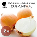 【ふるさと納税】生でそのままおいしいタマネギ「スマイルボール」2kg