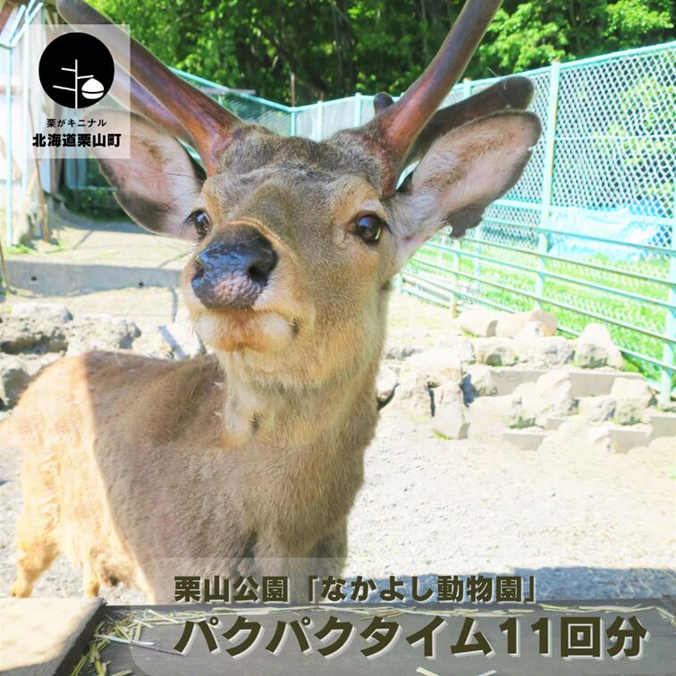 【ふるさと納税】栗山公園「なかよし動物園」パクパクタイム回数券 6回分 《2枚セット・3枚セット・御..