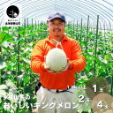 【ふるさと納税】北海道産 夕張山系のおいしいキングメロン《1玉・2玉・4玉》