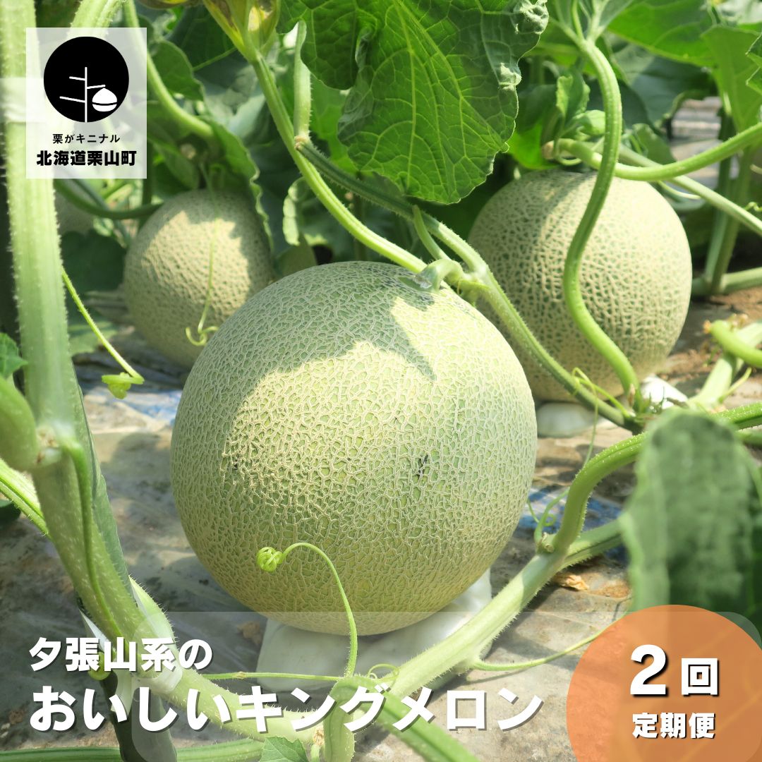 【ふるさと納税】夕張山系のおいしいメロン(1玉×2回定期便)