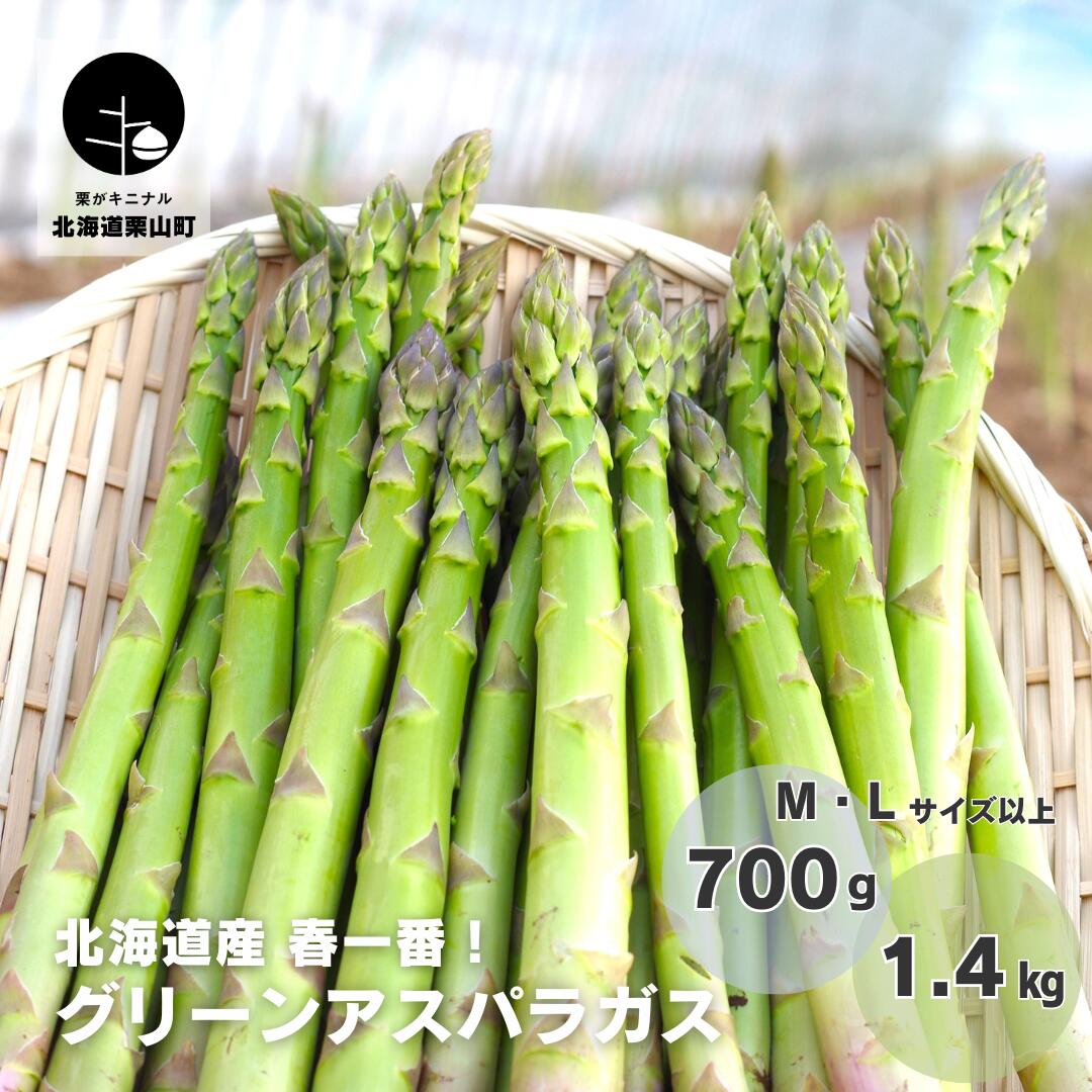 【ふるさと納税】北海道産「春一番！グリーンアスパラガス」M・Lサイズ以上《700g・1.4kg》