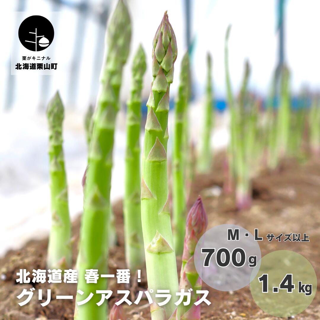 【ふるさと納税】北海道産「夏採れ！北海道アスパラガス」《700g・1.4kg》