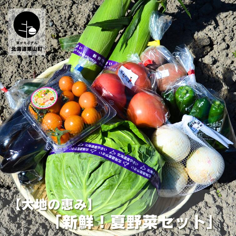 25位! 口コミ数「0件」評価「0」大地の恵み 「新鮮！夏野菜セット」