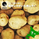 【ふるさと納税】甘くてほくほく!北海道産越冬じゃがいも男しゃく 7kg