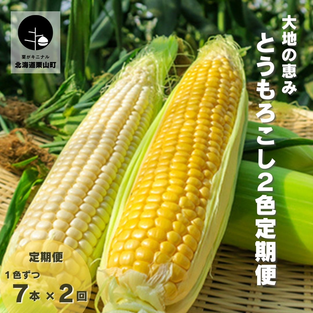 【ふるさと納税】大地の恵み「とうもろこし2色定期便（1色ごと）」北海道産　7本×2回