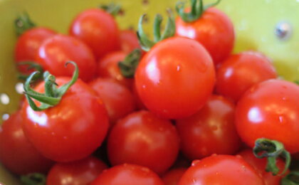 北海道月形町産ミニトマトキャロル10 約3kg 【野菜・トマト】 お届け:2019年7月下旬〜8月末頃まで