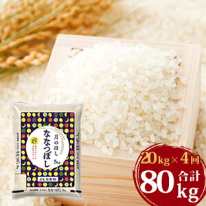 【ふるさと納税】令和2年産　北海道月形町ななつぼし80kg（20kg×4ヶ月毎月発送）特Aランク10年連続獲得　【定期便・お米・ななつぼし・特Aランク】　お届け：2021年11月中旬頃まで