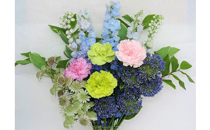 ふるさと納税 21年8月 9月 10月の3ヶ月連続お届け 生産者直送 旬の花詰め合わせ 5品種本以上保証 定期便 花 花詰め合わせ 3ヶ月 3回 お届け 21年8月 10月まで ふるさと納税 21年8月 9月 10月の3ヶ月連続お届け 生産者直送 旬の花詰め合わせ 5品種本以上保証 定期便 花 花詰め合わせ 3ヶ月 3回 お届け 21年8月 10月まで