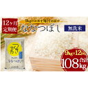 【ふるさと納税】令和2年産　北海道月形町ななつぼし「無洗米」108kg（9kg×12ヶ月毎月発送）特Aランク10年連続獲得　【定期便・お米・ななつぼし・無洗米・108kg】