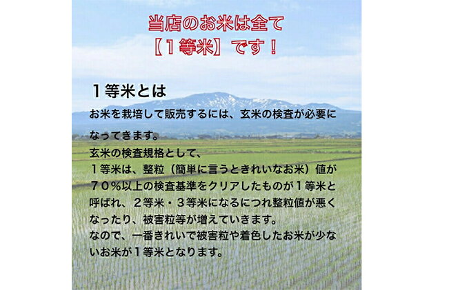 【ふるさと納税】令和3年産　北海道月形町ななつぼし無洗米54kg（4.5kg袋×2袋×6ヶ月定期発送）特Aランク11年連続獲得　【定期便・お米・北海道産】　お届け：2021年12月初旬〜随時出荷