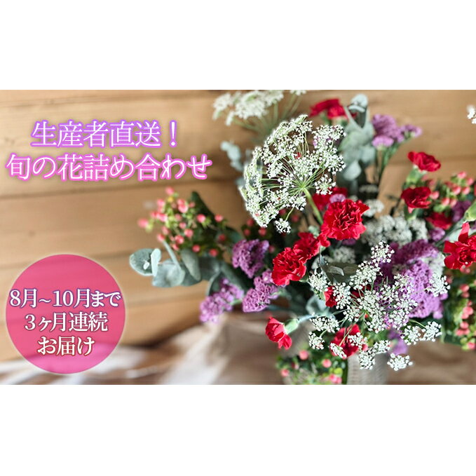 22年8月 10月まで3ヶ月連続お届け 生産者直送 旬の花詰め合わせ 5品種本以上保証 定期便 花 生産者直送 旬の花 詰め合わせ 切り花 延命剤 5品種 本以上 お届け 22年8月中旬 10月末まで ふるさと納税バイブル
