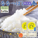 令和5年産　北海道月形町ななつぼし「無洗米」108kg（9kg×12ヵ月毎月発送）特Aランク13年連続獲得　