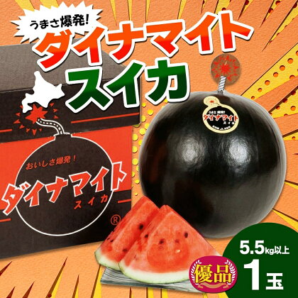 北海道 ダイナマイトスイカ 優品 1玉 約5.5kg以上 スイカ すいか 西瓜 黒皮 黒スイカ 果物 フルーツ 旬 希少 貴重 甘い 国産 産地直送 ギフト お祝い 贈答品 贈り物 日持ち お取り寄せ 送料無料　【月形町】　お届け：2024年7月中旬～8月初旬頃まで