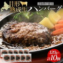 【ふるさと納税】【添加物不使用】月形熟成牛ハンバーグ 10個セット　【 お肉 肉料理 肉の加工品 洋食 惣菜 黒毛和牛 赤身 熟成赤身肉使用 肉本来の旨み さっぱり ヘルシー 】