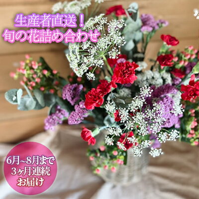 ［2023年6月～8月まで3ヵ月連続お届け］生産者直送！旬の花詰め合わせ〔4品種20本以上保証〕　【定期便・ 花束 お祝い ギフト 切花 ブーケ 詰め合わせ 産地直送 】　お届け：2024年6月中旬～8月末まで