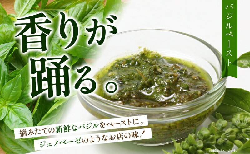 【ふるさと納税】北海道 バジル ペースト 100g×2個 45g×2個 計4個 ハーブ オリーブオイル 国産 調味料 ソース イタリア料理 パスタ ピザ ドレッシング ジェノベーゼ 手軽 簡単 保存食 瓶詰 瓶 ギフト 　お届け：2025年7月中旬～10月中旬