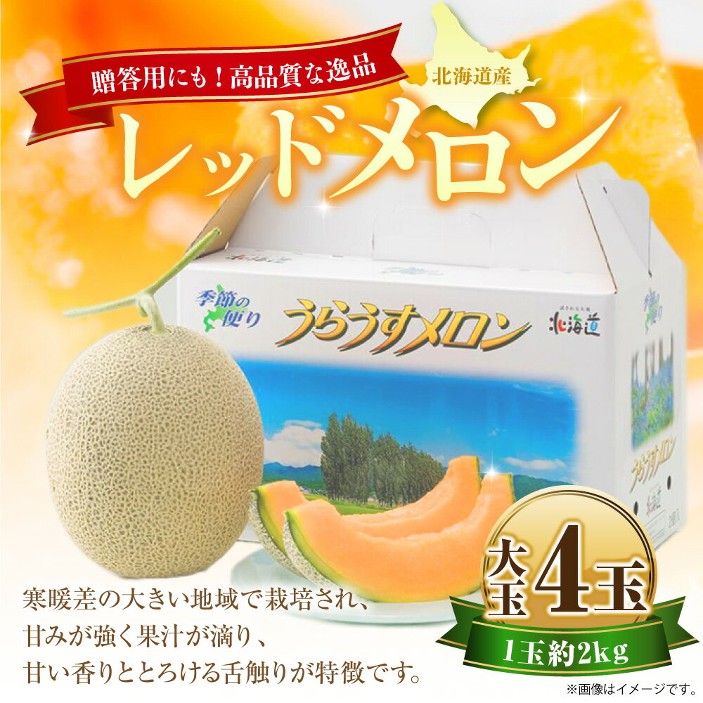 【ふるさと納税】レッドメロン 大玉4玉 1玉約2kg くだもの 果物 果実 フルーツ メロン 北海道 浦臼町 送料無料 【2026年7月上旬～2026年7月下旬発送予定】