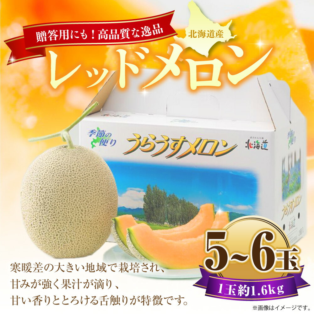 【ふるさと納税】レッドメロン 5～6玉 1玉約1.6kg くだもの 果物 果実 フルーツ メロン ノースランドレッドメロン 北海道 浦臼町 送料無料 【2026年7月上旬～2026年7月下旬発送予定】